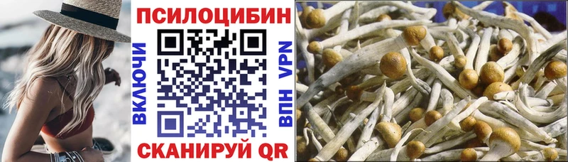 Галлюциногенные грибы Psilocybe  магазин продажи   Пыть-Ях 
